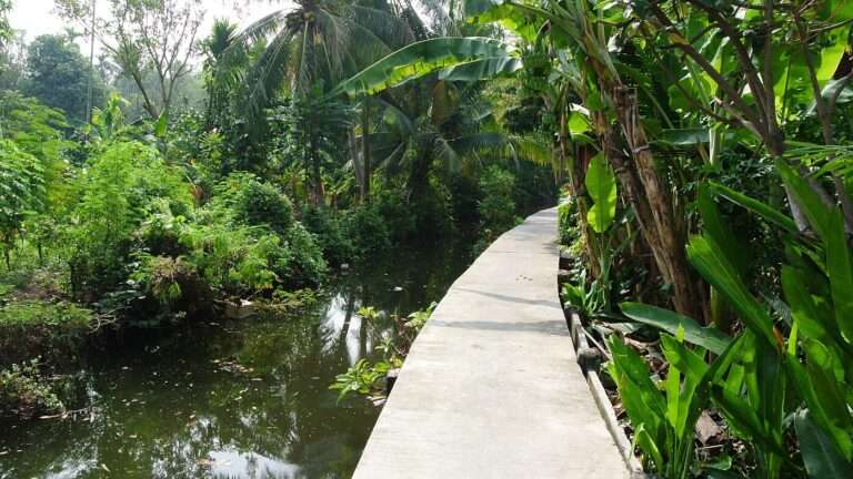 A raised concrete path through banana and coconut jungle beside a canal on Bang Krachao